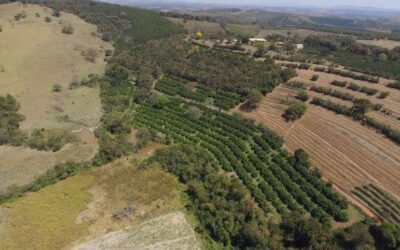 Agricultura Prânica Pranic Agriculture
