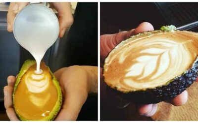 Abacate no latte art  Avolatte