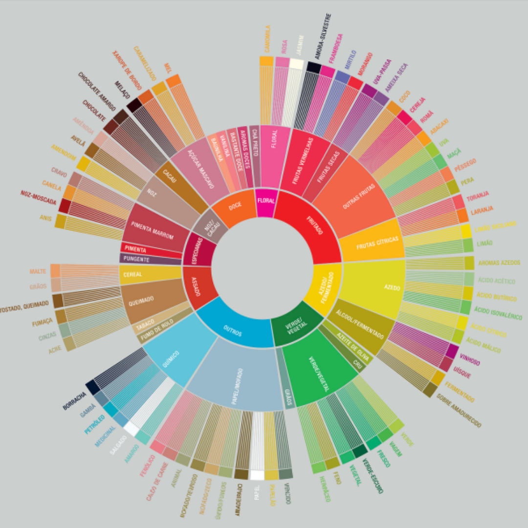 Afinal, como usar a roda de sabores e aromas do café?