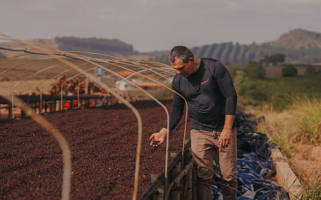 Fazenda Mariana