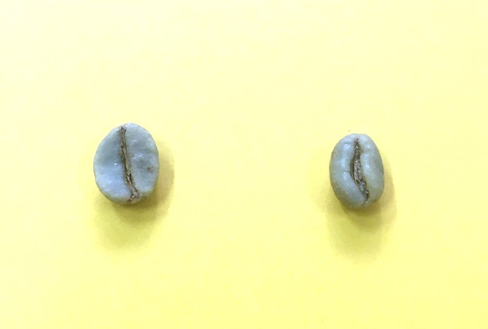 Café Moca: Anomalia ou tesouro?