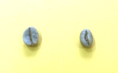 Café Moca: Anomalia ou tesouro?