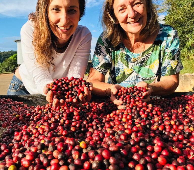 Fazenda das Amoras