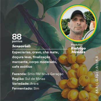 SÍTIO RM NOVA GERAÇÃO - ED. FEVEREIRO/2025